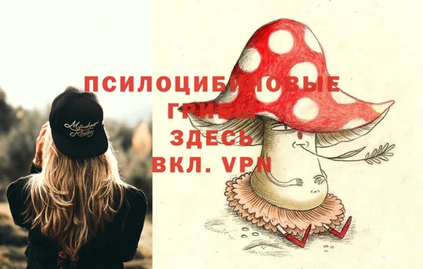 не бодяженный Беломорск