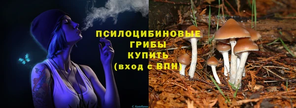 ешки Белокуриха