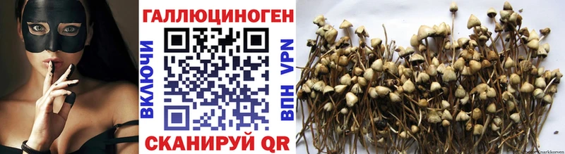 Псилоцибиновые грибы ЛСД  Нижний Новгород 