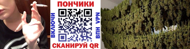 Бошки Шишки OG Kush  Нижний Новгород 